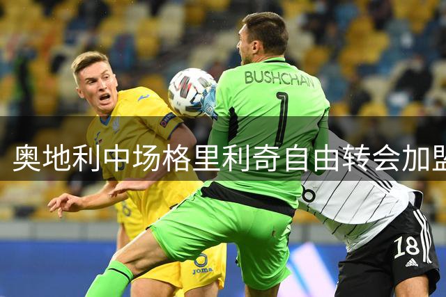 奥地利中场格里利奇自由转会加盟弗罗西诺内